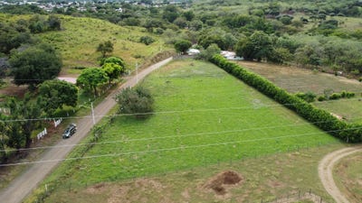 /international/cr/guanacaste-canas-sandillal-sobre-calle-en-barrio-san-antonio-canas-guanacaste-canas-guanacaste-province-310104398890/