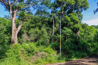 /international/cr/esperanza-road-nosara-guanacaste-province-310101078617/?lang=fr