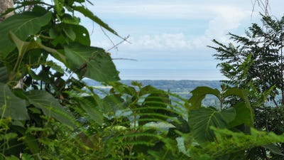 /international/cr/lot-7-alazan-sustainable-community-parrita-puntaranes-parrita-puntarenas-310103457230/