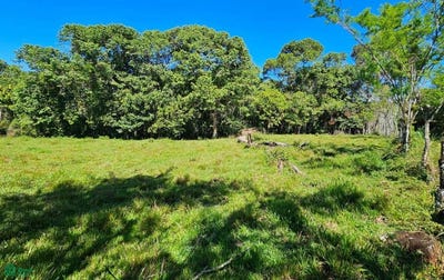 /international/cr/permaculture-lot-1-san-isidro-del-general-perez-zeledon-san-jose-perez-zeledon-san-jose-310101374035/?lang=en