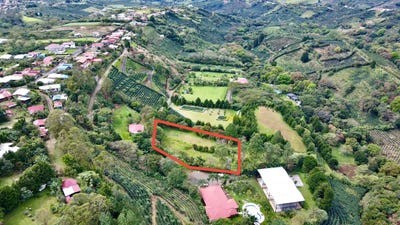 /international/cr/san-francisco-grecia-alajuela-grecia-alajuela-province-310098748063/