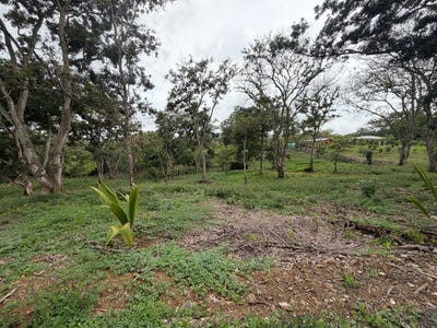 /international/cr/morazan-atenas-alajuela-atenas-alajuela-province-310108601556/