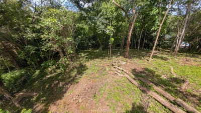 /international/cr/x85j-p9g-guanacaste-province-nosara-costa-rica-nosara-guanacaste-province-310093931130/