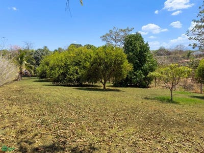 /international/cr/las-mariposas-san-mateo-san-mateo-alajuela-san-mateo-alajuela-province-310106110308/