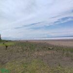 /international/cr/playa-bandera-parrita-puntarenas-310106285227/
