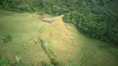 /international/cr/san-isidro-el-general-san-jose-310108867728/?lang=zh-tw