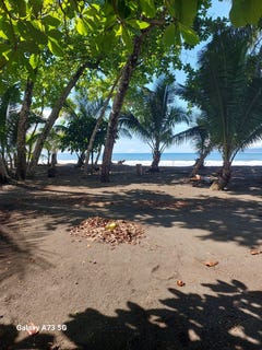 /international/cr/playa-langostino-pavon-golfito-puntarenas-osa-puntarenas-osa-puntarenas-310101209618/