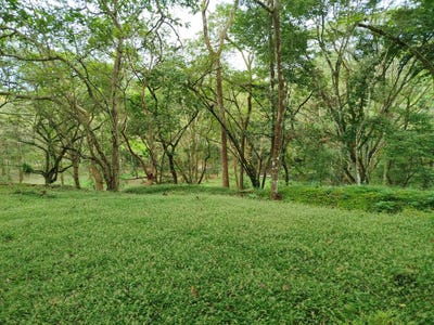 /international/cr/orotina-alajuela-costa-rica-orotina-alajuela-orotina-alajuela-province-310100143830/