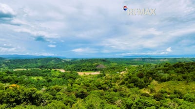 /international/cr/la-florida-puntarenas-puntarenas-puntarenas-puntarenas-310107708666/