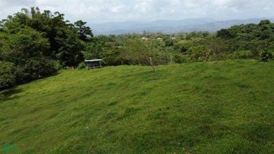 /international/cr/el-sauce-s-n-santa-teresita-turrialba-cartago-turrialba-cartago-province-310101206973/?lang=zh-tw