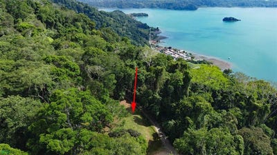 /international/cr/cerro-adams-golfito-puntarenas-310106078421/