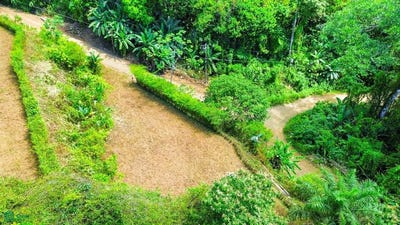 /international/cr/s-n-puerto-cortes-osa-puntarenas-osa-puntarenas-310101285168/?lang=zh-cn