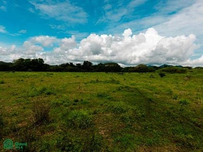 /international/cr/sardinal-farm-tempate-guanacaste-province-310105516594/
