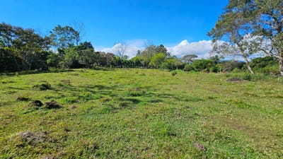 /international/cr/playa-verde-permaculture-lot-santa-elena-alajuela-province-310105788258/