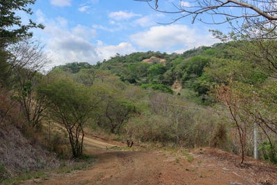 /international/cr/esperanza-road-nosara-guanacaste-province-310101077966/?lang=fr