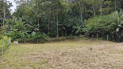 /international/cr/500sqm-lot-in-cahuita-with-well-fenced-filled-leveled-and-ready-to-build-cahuita-limon-310106991219/