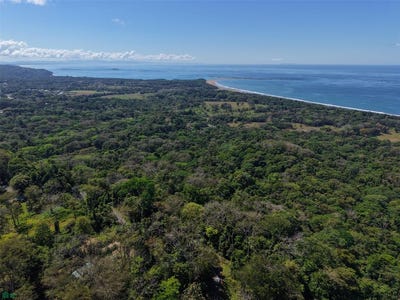 /international/cr/calle-san-jeronimo-corredor-puntarenas-310107945752/