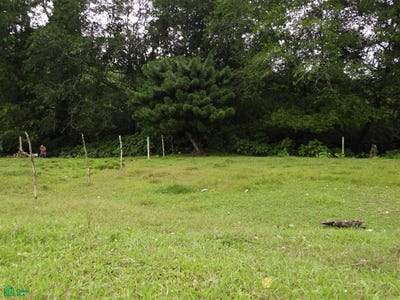 /international/cr/canada-turrialba-turrialba-cartago-turrialba-cartago-province-310108732578/