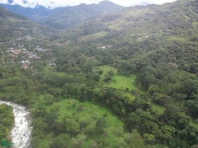 /international/cr/san-francisco-nature-s-escape-rivas-perez-zeledon-san-jose-rivas-san-jose-310104098382/