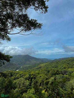 /international/cr/ocean-view-luxury-homesite-bahia-ballena-osa-puntarenas-osa-puntarenas-310101247316/