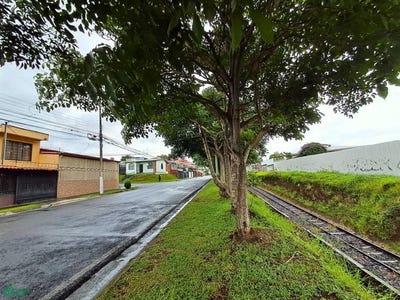 /international/cr/1-1-san-juan-tibas-san-jose-tibas-san-jose-310101285246/?lang=zh-cn