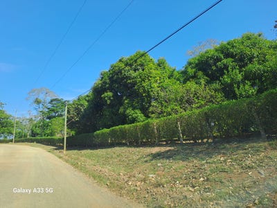 /international/cr/calle-la-barca-tarcoles-tarcoles-puntarenas-tarcoles-puntarenas-120090136438/