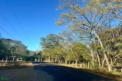 /international/cr/development-ready-lot-in-portegolpe-portegolpe-santa-cruz-guanacaste-cabo-velas-guanacaste-province-310104791768/
