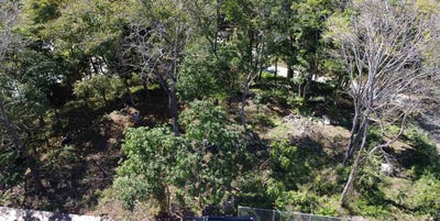 /international/cr/ocean-view-haven-lot-in-the-center-of-santa-teresa-santa-teresa-santa-teresa-alajuela-province-310107360060/