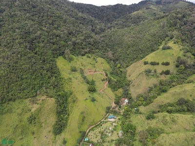 /international/cr/elevated-living-rivas-perez-zeledon-san-jose-rivas-san-jose-310104037417/