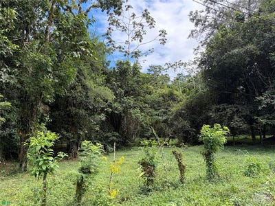 /international/cr/quinta-en-zona-de-alta-plusvalia-guapiles-limon-310108869321/