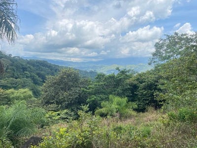 /international/cr/lot-for-sale-in-residential-vista-mar-ocean-and-mountains-view-between-san-mateo-and-orotina-alajuela-costa-rica-desmonte-alajuela-province-120087386773/?lang=zh-cn