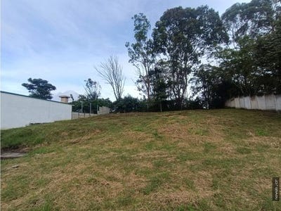 /international/cr/wwm7-w7-san-jose-san-jose-310106483382/