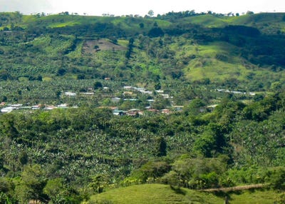 /international/cr/santa-cecilia-de-agua-buena-agua-buena-puntarenas-310101033593/?lang=zh-tw