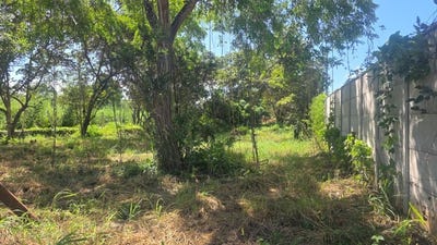 /international/cr/commercial-airport-property-for-sale-with-public-road-frontage-on-route-21-close-to-liberia-international-airport-guardia-guanacaste-province-310103441661/
