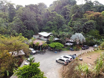 /international/cr/caracol-de-rio-claro-golfito-guaycara-puntarenas-golfito-guaycara-puntarenas-310103619218/