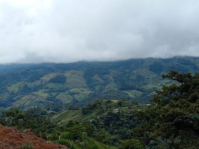 /international/cr/el-alto-de-san-juan-perez-zeledon-perez-zeledon-san-jose-perez-zeledon-san-jose-120095136292/