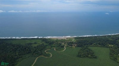 /international/cr/ruta-nacional-primaria-cahuita-limon-310106834018/