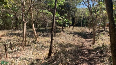 /international/cr/santa-rosa-tamarindo-santa-cruz-guanacaste-santa-cruz-guanacaste-province-310101108339/?lang=zh-cn