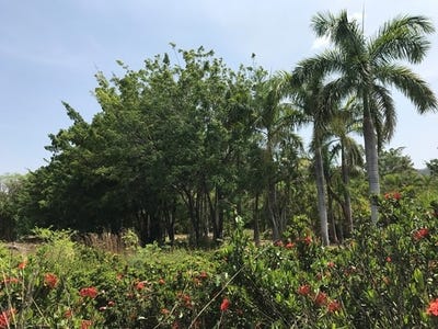 /international/cr/great-property-in-santa-cruz-excellent-opportunity-to-develop-in-excellent-locationbarrio-limon-santa-cruz-guanacaste-costa-rica-barrio-limon-guanacaste-province-120019050143/