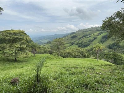 /international/cr/desmonte-orotina-alajuela-orotina-alajuela-province-120087929458/?lang=zh-cn