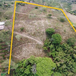 /international/cr/sarchi-sur-valverde-vega-alajuela-alajuela-province-310095108481/?lang=zh-tw