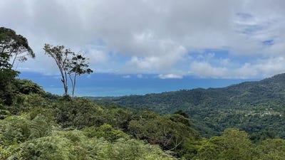 /international/cr/los-nenes-mountain-home-construction-site-for-sale-in-uvita-uvita-puntarenas-120090222328/