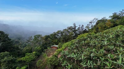 /international/cr/lote-en-chimirol-mountain-home-construction-site-for-sale-in-buena-vista-buena-vista-san-jose-310100936318/