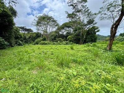 /international/cr/-dominical-osa-puntarenas-osa-puntarenas-310104835180/