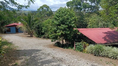 /international/cr/limoncito-de-cotobrus-coto-brus-puntarenas-coto-brus-puntarenas-310108925462/