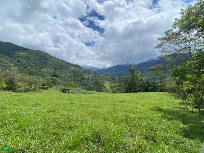 /international/cr/private-1-hectare-haven-in-tirra-rivas-perez-zeledon-san-jose-rivas-san-jose-310104098380/