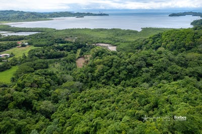 /international/cr/paquera-paquera-puntarenas-310108509555/