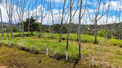 /international/cr/santa-rosa-perez-zeledon-costa-rica-perez-zeledon-san-jose-perez-zeledon-san-jose-310107534086/