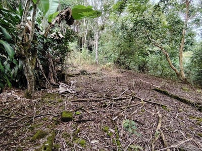 /international/cr/penas-blancas-general-viejo-perez-zeledon-costa-rica-perez-zeledon-san-jose-perez-zeledon-san-jose-310100962612/?lang=zh-cn