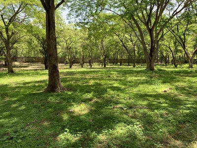 /international/cr/conchal-bay-ideal-lot-to-build-a-hotel-lodge-by-conchal-beach-matapalo-guanacaste-province-310106332765/